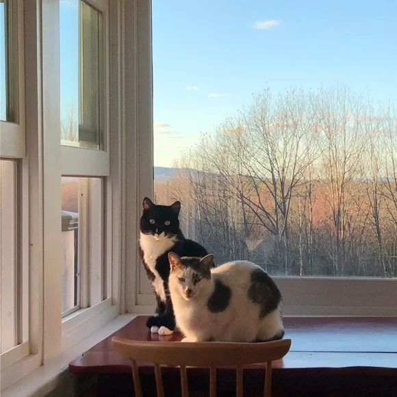 The Boys - Picture 4 of 7